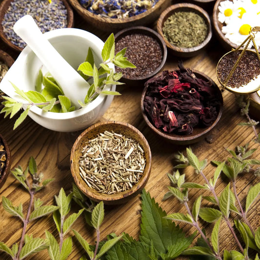 Les plantes pour mieux vivre - Maître du Thé