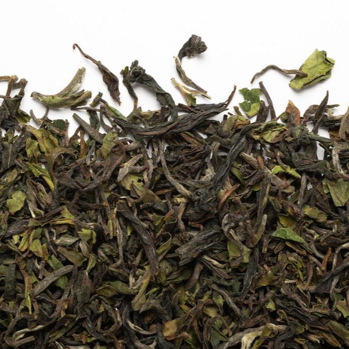 Darjeeling Giddapahar 1st Flush – Thé noir floral et printanier