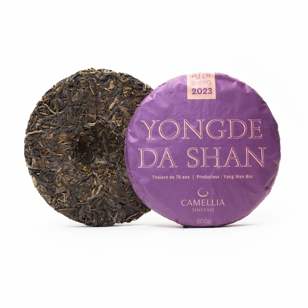 Thé Pu Er Sheng 2023 Yongde Da Shan – Vieux théiers
