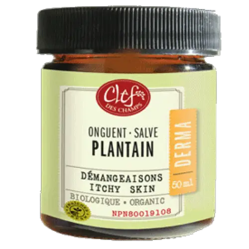 ONGUENT DE PLANTAIN - Maître du Thé