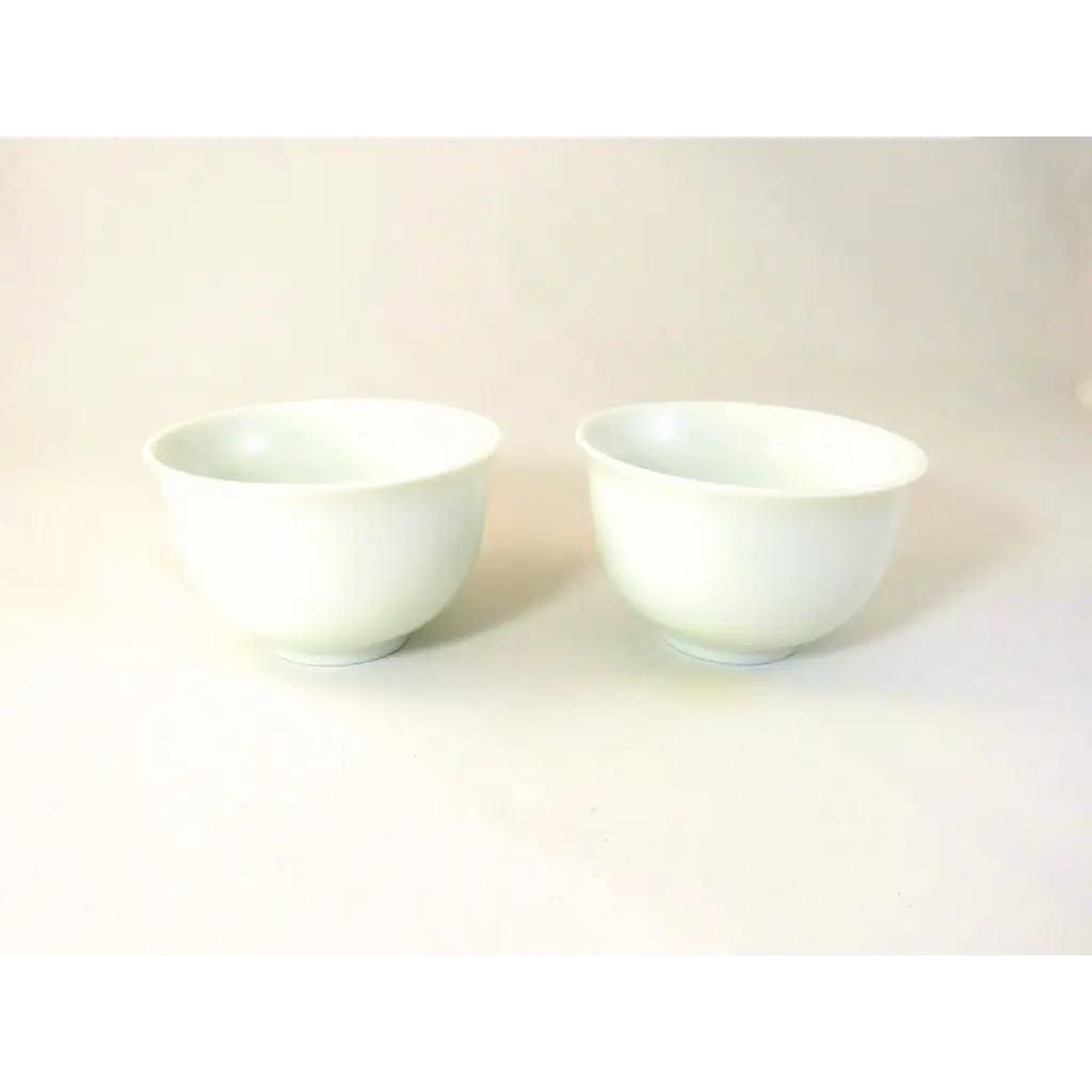 TASSES PORCELAINE 150ml - Maître du Thé