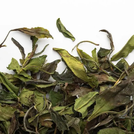 THÉ BLANC Bai Mu Dan - Maître du Thé