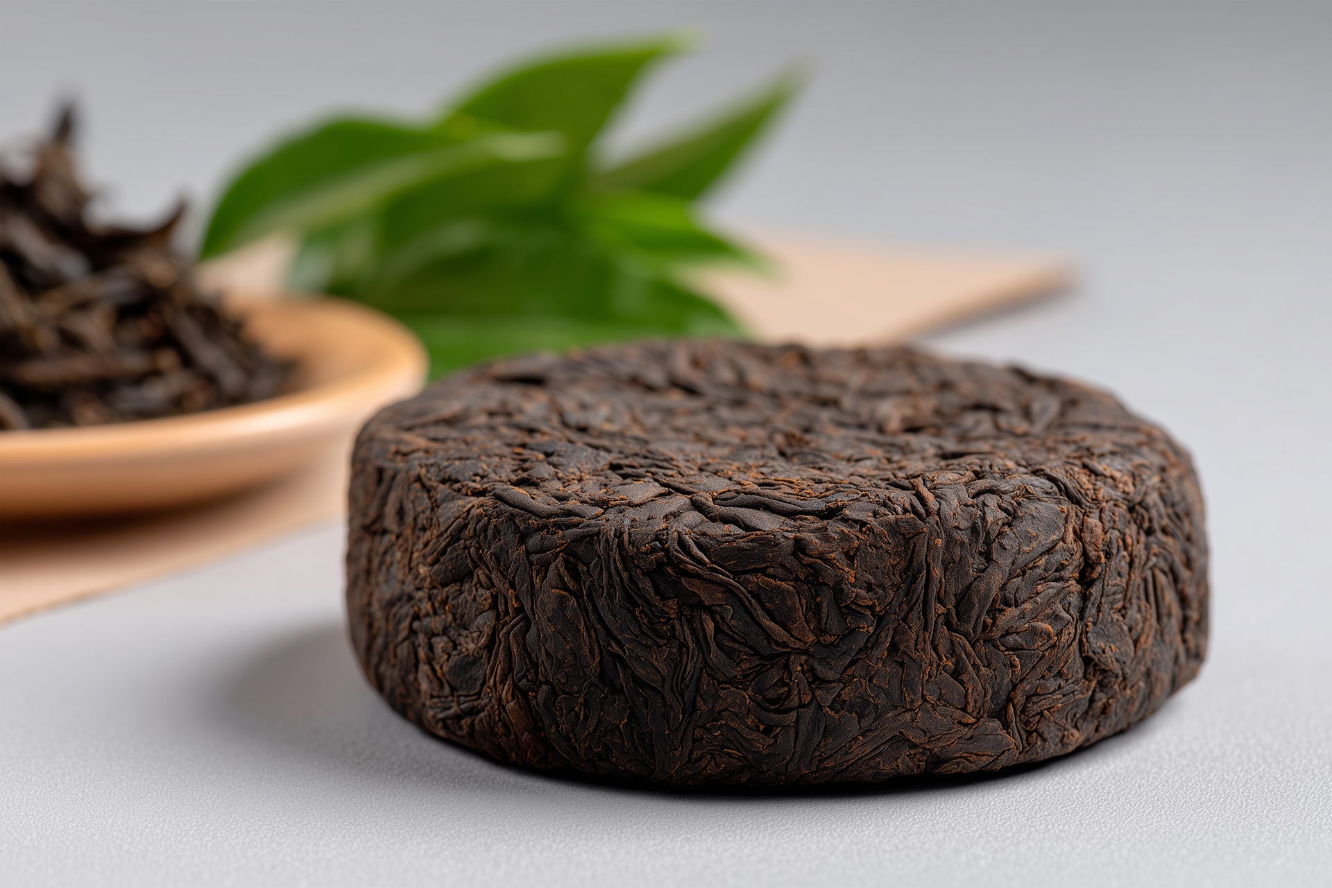 Pu Er Tea | Digestion & Depth | Tea Master – Maître du Thé