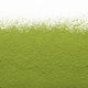 Matcha Camellia