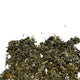 Tisane de Framboisier 