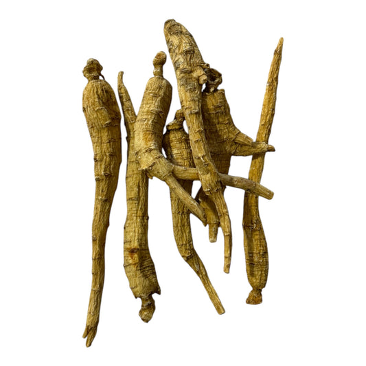 Ginseng Maitre du thé