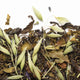 thé glacé un été a Nilgiri 