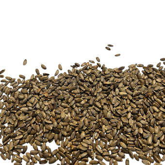 compare product Graines de chardon-Marie