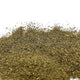 Tisane de menthe