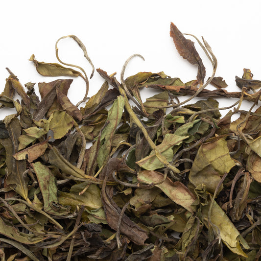 Thé blanc du Nilgiri