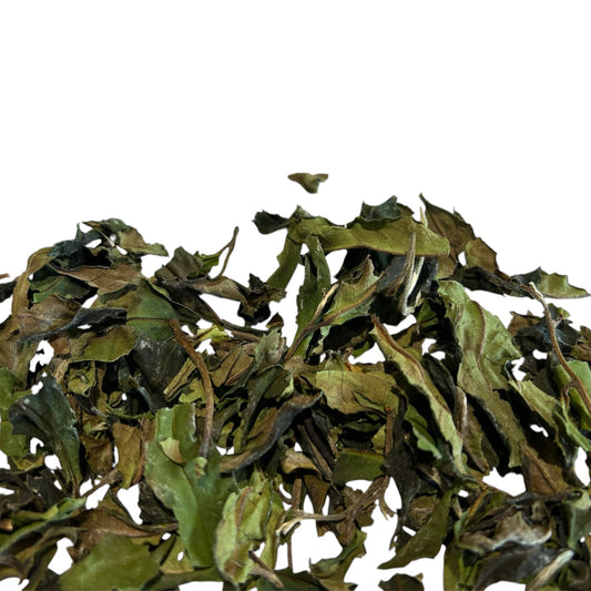 Thé Blanc Gu Shu Bai Liu en feuilles