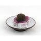 Pu Er 2010 Hong Jing Tian 50g - Maître du Thé 