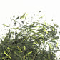 Sencha Tsukigase 50g - Master of Tea 