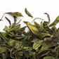 Bai Mu Dan WHITE TEA - Master of Tea 