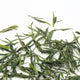 THÉ JAUNE Huo Shan Huang Ya 25g - Maître du Thé 